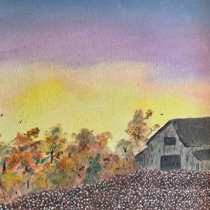 Cotton field barn
